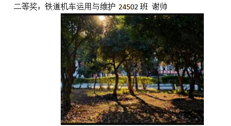 青春光影，定格武科职美好瞬间 ——sunbet申慱官网2026年校园摄影大赛圆满收官