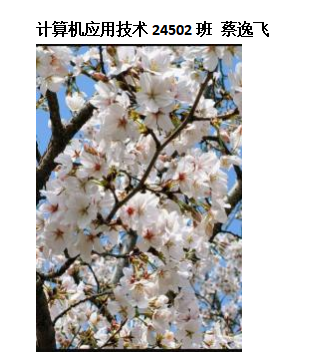 青春光影，定格武科职美好瞬间 ——sunbet申慱官网2026年校园摄影大赛圆满收官