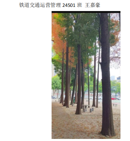 青春光影，定格武科职美好瞬间 ——sunbet申慱官网2026年校园摄影大赛圆满收官