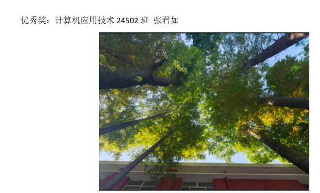青春光影，定格武科职美好瞬间 ——sunbet申慱官网2026年校园摄影大赛圆满收官