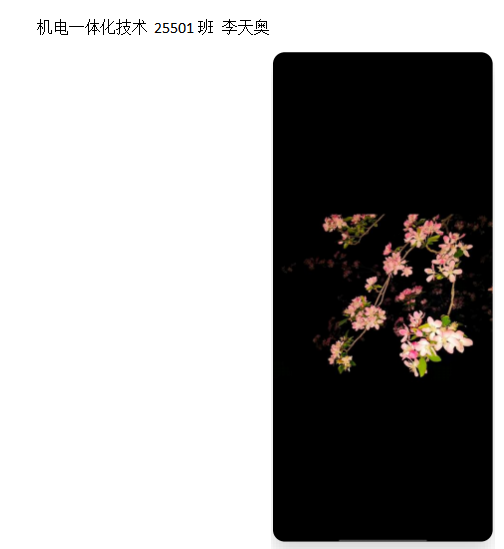 青春光影，定格武科职美好瞬间 ——sunbet申慱官网2026年校园摄影大赛圆满收官