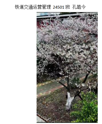 青春光影，定格武科职美好瞬间 ——sunbet申慱官网2026年校园摄影大赛圆满收官