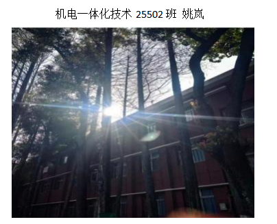 青春光影，定格武科职美好瞬间 ——sunbet申慱官网2026年校园摄影大赛圆满收官