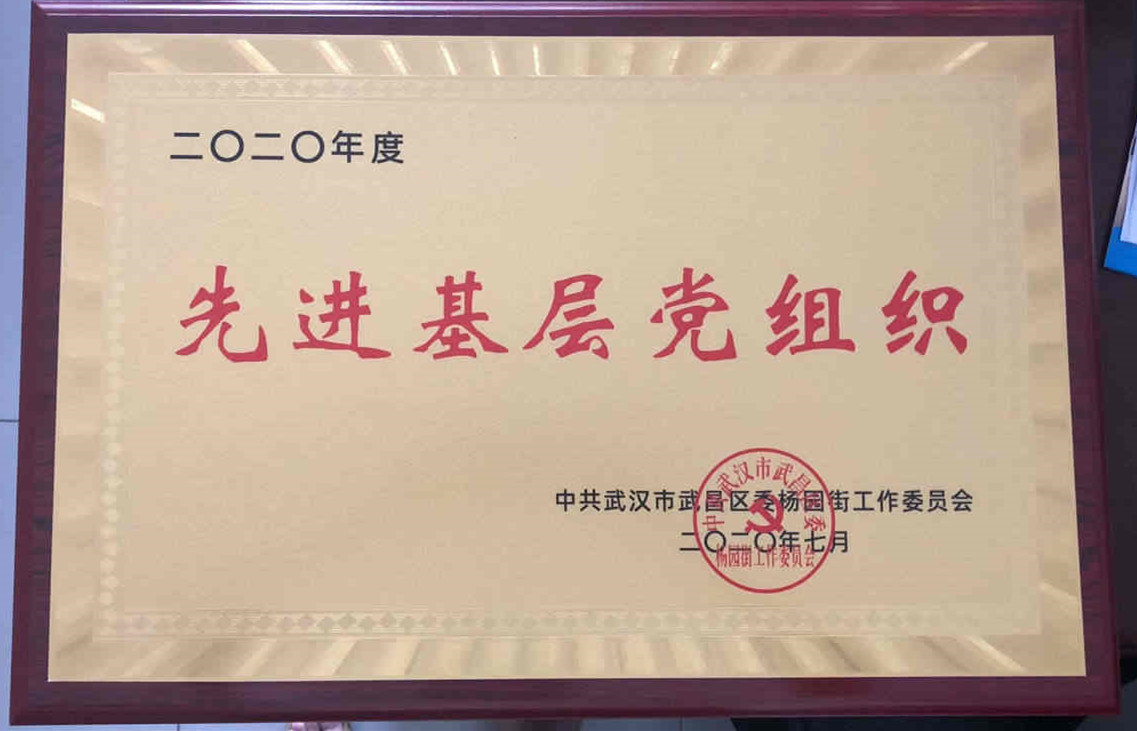申慱官网党委荣获2020年度先进基层党组织